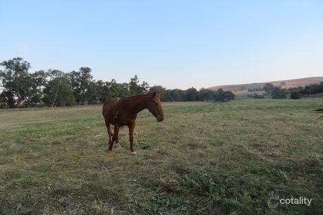 12 Camp St, Adelong, NSW 2729