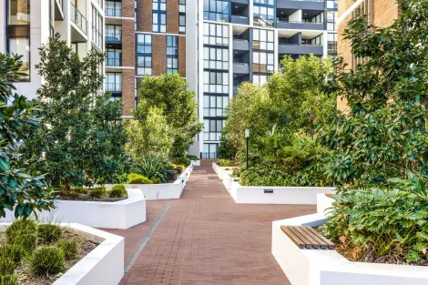 Property photo of 338/3 Maple Tree Road Westmead NSW 2145