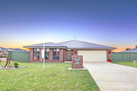 Property photo of 6 Melaleuca Drive Forest Hill NSW 2651