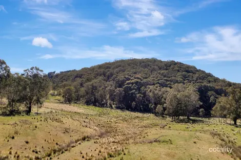 Property photo of 184 Old Western Road Mount Lambie NSW 2790