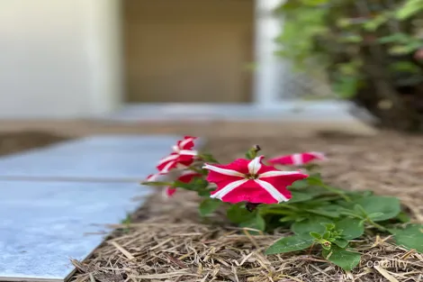 Property photo of 17 Tussock Crescent Elanora QLD 4221
