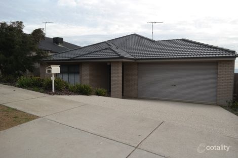 20 Swanbourne Ave, Highton, VIC 3216