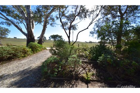 Property photo of 40 Macdonnell Terrace Springton SA 5235
