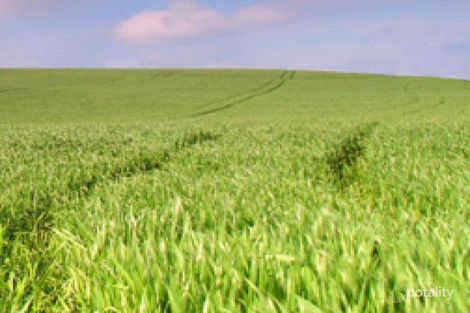 608 Mcintyres Rd, Rupanyup, VIC 3388