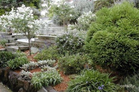 Property photo of 31 Howson Avenue Turramurra NSW 2074