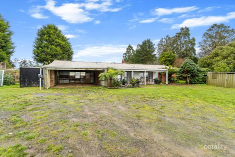 971 Grand Ridge Rd, Blackwarry, VIC 3844