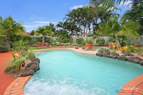 Property photo of 45 Mountain Ash Drive Mountain Creek QLD 4557