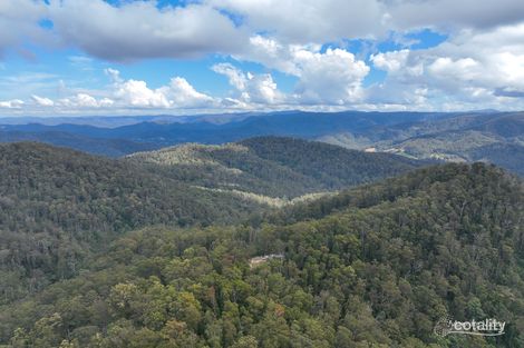 114/1800 Kippax Rd, Kippaxs, NSW 2429