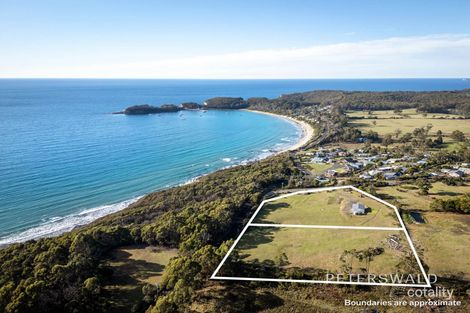 4 Waterfall Bay Rd, Eaglehawk Neck, TAS 7179