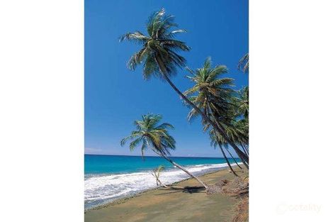 8 Alexander Dr, Mission Beach, QLD 4852