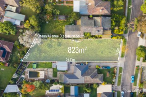 3 Shaun Ave, Blackburn South, VIC 3130