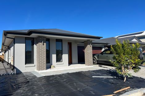 19 Shell St, Nerang, QLD 4211