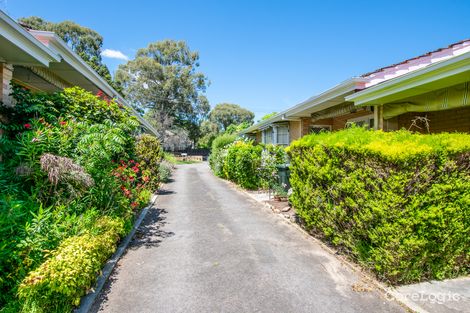 Property photo of 8/48 Maitland Street Mitcham SA 5062