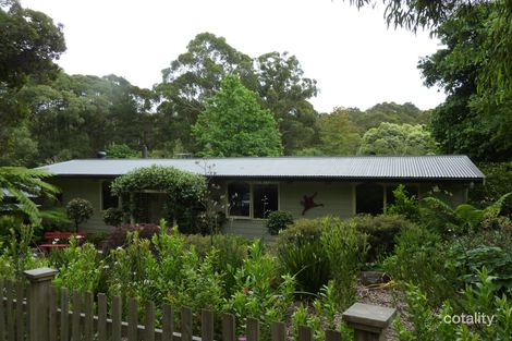 Property photo of 115 Moxhams Road Monbulk VIC 3793