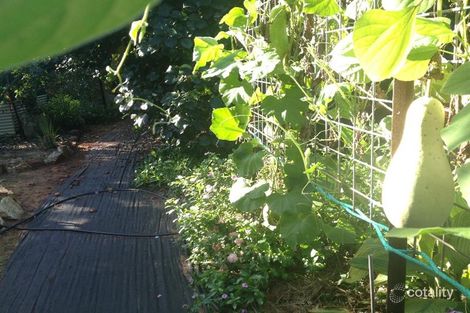 Property photo of 39 Stanley Street Derby WA 6728