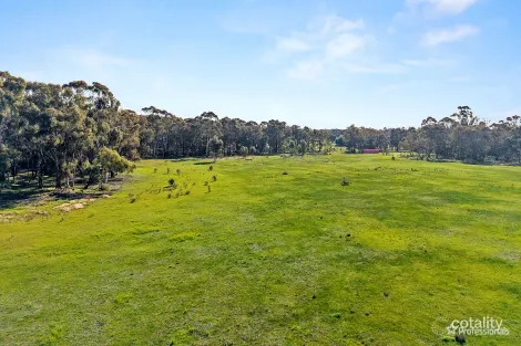 Property photo of 179 Pekin Road Bowenvale VIC 3465
