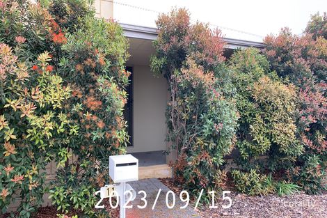 11 Triller Lane, Erskine, WA 6210