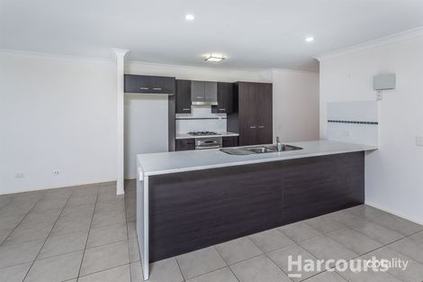 Property photo of 33 Cyperus Crescent Carseldine QLD 4034