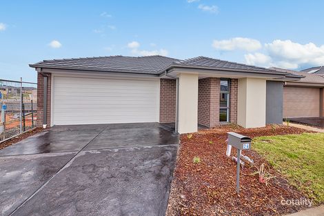 Property photo of 24 Tara Boulevard Officer VIC 3809