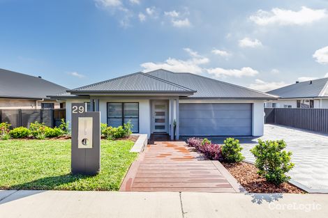 Property photo of 29 Pinchtail Street Chisholm NSW 2322