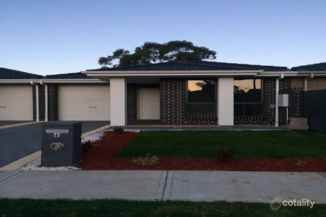 Property photo of 6 Ragless Avenue Park Holme SA 5043