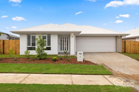 156 Grampians Cct, Yarrabilba, QLD 4207