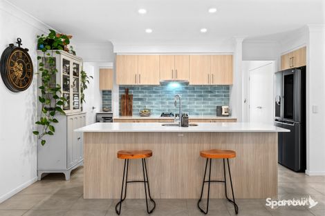 Property photo of 44 Alectura Crescent Bahrs Scrub QLD 4207