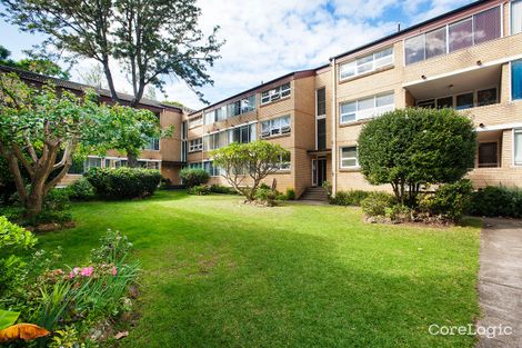 3/115 Alt St, Ashfield, NSW 2131