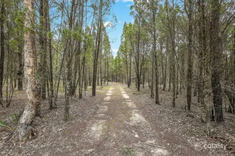 1393 SPRING CREEK RD, YARRAWONGA, NSW 2850