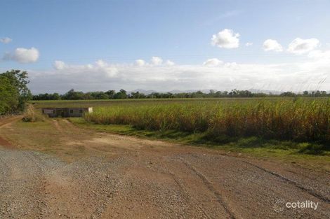 Property photo of 3 Dingo Beach Road Dingo Beach QLD 4800