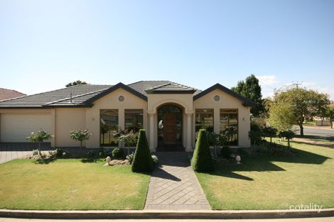 6 Rutland Ave, Lockleys, SA 5032