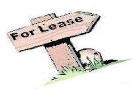 Property photo of 4 Mackie Street Lemon Tree Passage NSW 2319