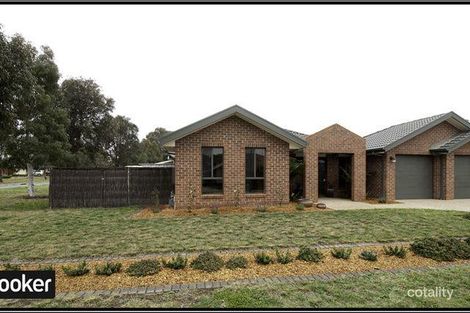 Property photo of 15 Strayleaf Crescent Gungahlin ACT 2912