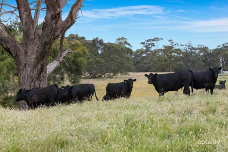 75 Hyslops Rd, Main Ridge, VIC 3928