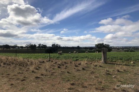 606 Peabody Rd, Molong, NSW 2866