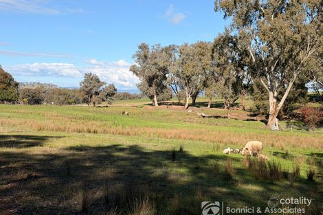 Property photo of 291 White Post Road Everton Upper VIC 3678