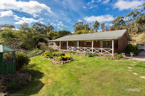 1165 Collins Cap Rd, Molesworth, TAS 7140