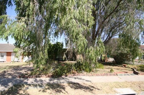 20 Moresby St, Lockleys, SA 5032