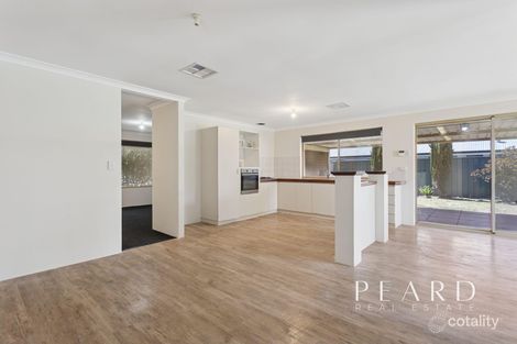 43 Celadon Loop, Banksia Grove, WA 6031