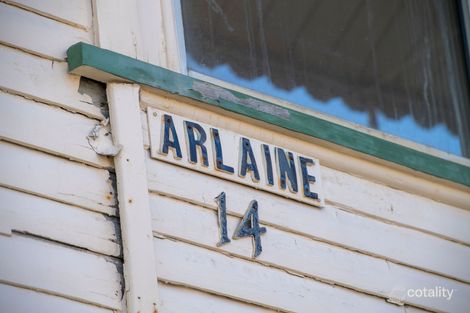 Property photo of 14 Orvieto Terrace Kings Beach QLD 4551