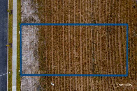 Property photo of 23 Ascot Circuit Palmview QLD 4553