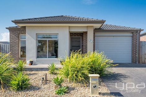 19 Holly Dr, Wallan, VIC 3756
