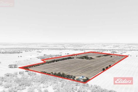 Property photo of 131 Hoffman Road Highbury WA 6313