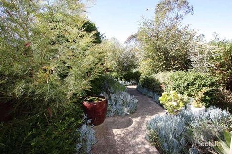 Property photo of 4/31 Ballarat Road Footscray VIC 3011