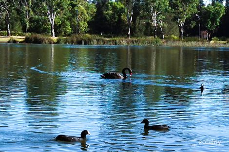 Property photo of 3 Waterside Grove Woodcroft NSW 2767