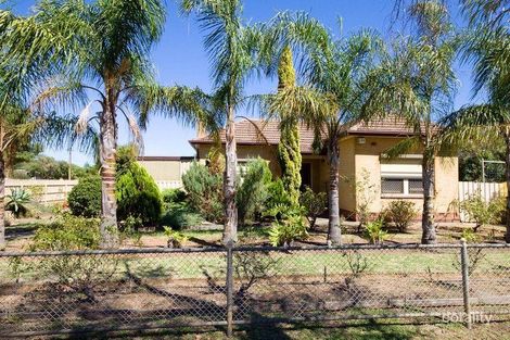 Property photo of 31 John Street Ascot Park SA 5043