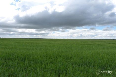 271 Duckhole Rd, Parilla, SA 5303