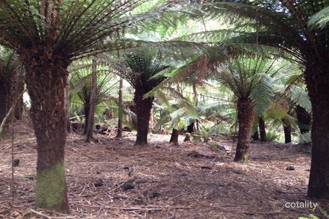 Property photo of 184 Lyons Road Lapoinya TAS 7325