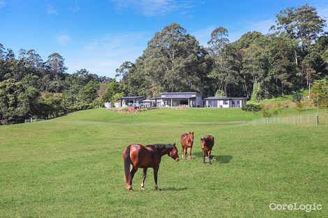 Property photo of 321 Western Avenue Montville QLD 4560