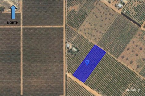 100 Hartwig Rd, Taylorville, SA 5330